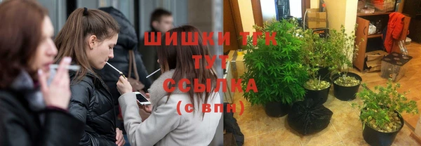 ешки Богородицк